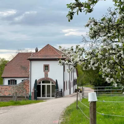 Ein traditionelles Haus mit rotem Dach steht neben einem gepflegten Garten mit blühenden Bäumen unter einem bewölkten Himmel.