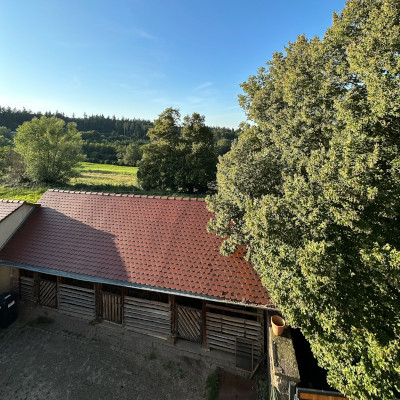 Ein Holzgebäude mit rotem Wellblechdach steht in einer ländlichen Umgebung, umgeben von Bäumen und Grünflächen unter blauem Himmel.